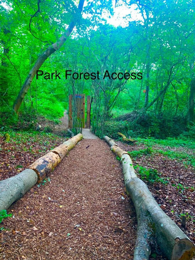 Forest Beach Bashley Park Sway Εξωτερικό φωτογραφία