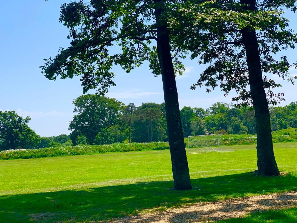 Forest Beach Bashley Park Sway Εξωτερικό φωτογραφία