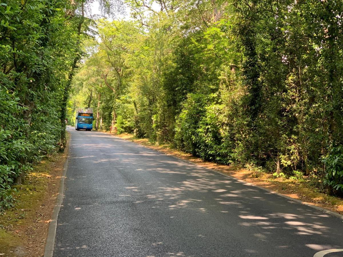 Forest Beach Bashley Park Sway Εξωτερικό φωτογραφία